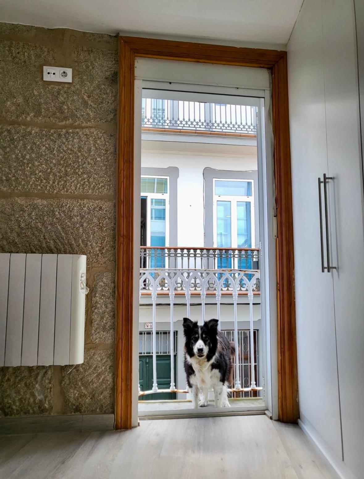 Centrico Y Acogedor Apartamento *